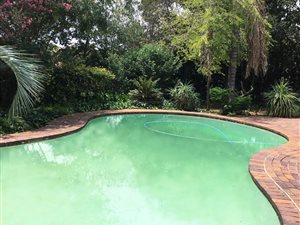 1 Bedroom Apartment in Emmarentia