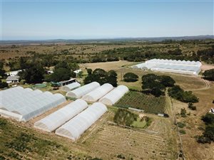 410 ha Farm in Port Alfred