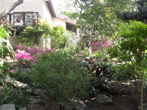 3 Bed House in Pennington