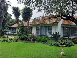 7 Bed House in Nimrod Park