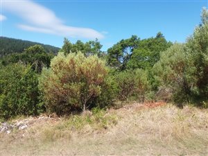 762 m² Land available in Meedingsride