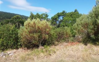 762 m² Land available in Meedingsride
