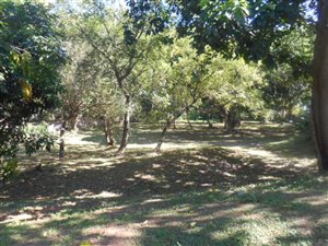 3445 m² Land available in Sea Park