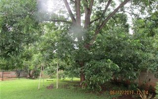 3 Bedroom House in Hayfields