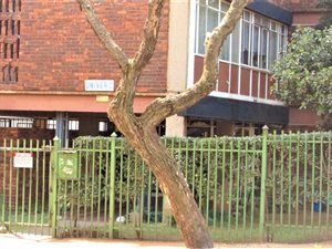 3 Bed Flat in Sunnyside