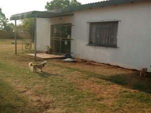 3 Bed Apartment in Delmas