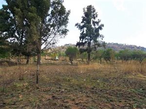 2800 m² Land available in Amorosa
