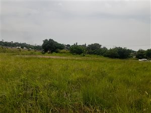 8 ha Farm in Shakaskraal