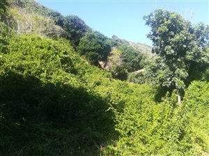 573 m² Land available in Glentana