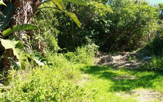 846 m² Land available in Morgans Bay