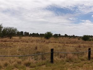 2 ha Land available in Kimdustria