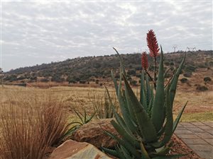 722 m² Land available in The Hills