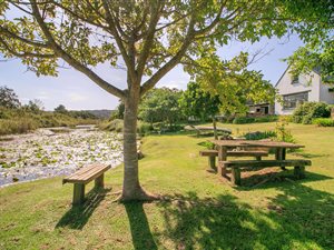 590 m² Commercial space in Plettenberg Bay