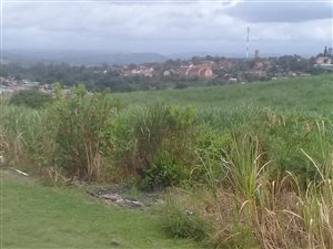 8.6 ha Farm in Tongaat Central