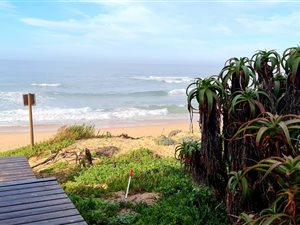 1054 m² Land available in Outeniqua Strand