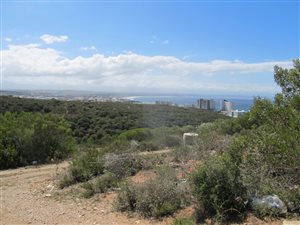 270 m² Land available in Kwanonqaba