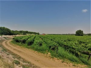 30 ha Farm in Upington