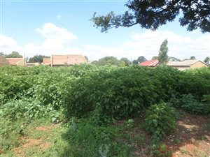 945 m² Land available in Bakerton