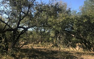 1397.2 ha Land available in Hoedspruit