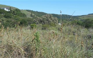 910 m² Land available in Morgans Bay
