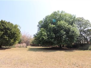 3782 m² Land available in Bryanston East