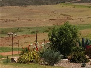 592 m² Land available in Monte Christo