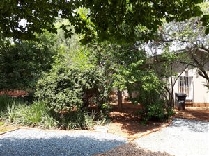 1 Bedroom Garden Cottage in Waverley