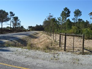 6.5 ha Farm in Plettenberg Bay