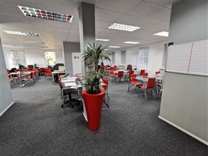 200 m² Office Space in Greenside