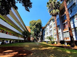 1 Bed Apartment in Sunnyside