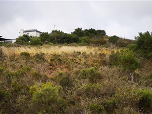 871 m² Land available in Island View