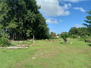 2 ha Land available in Eshowe