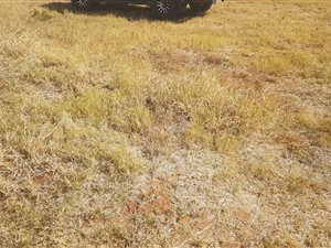600 m² Land available in Chantelle