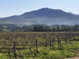 32 ha Farm in Wellington Central