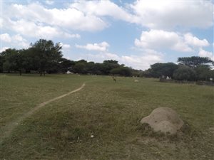 3.5 ha Farm in Chartwell