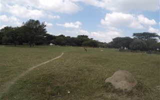 3.5 ha Farm in Chartwell
