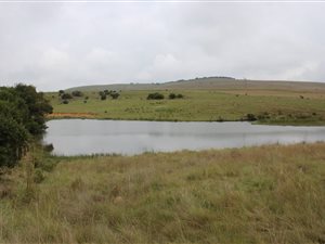Farm in Machadodorp