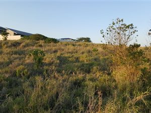 1657 m² Farm in Mtunzini