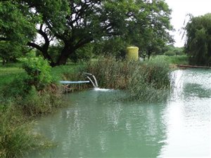 342 ha Farm in Mookgophong (Naboomspruit)
