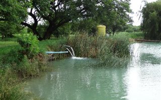 342 ha Farm in Mookgophong (Naboomspruit)
