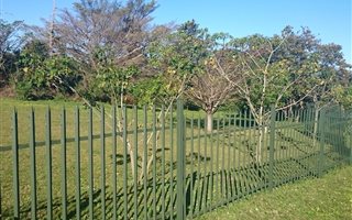 1447 m² Land available in Bathurst and Surrounds