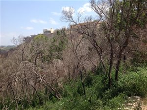 1761 m² Land available in Paradise