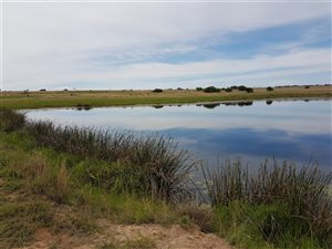 938 ha Farm in Modimole (Nylstroom)