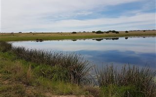 5 Bedroom House in Modimole (Nylstroom)