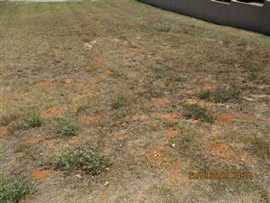 600 m² Land available in Monte Christo