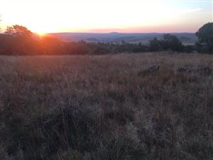 2.6 ha Land available in Sterkfontein and surrounds
