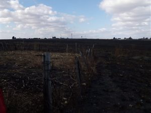 3 ha Farm in Secunda