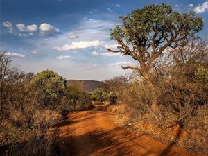 1 ha Land available in Lydenburg