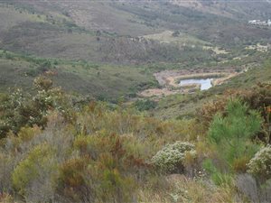 1.4 ha Farm in Great Brak River