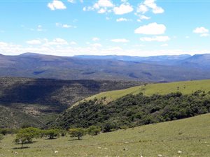1766 ha Farm in Stutterheim